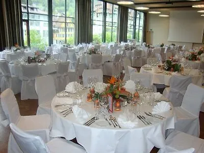 Hotel Aare Thun